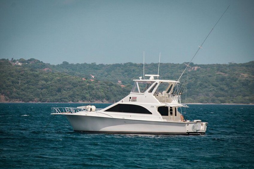 Ocean Yacht (48 ft) 8-Hour Fun at the Ocean & BBQ at the Beach 1