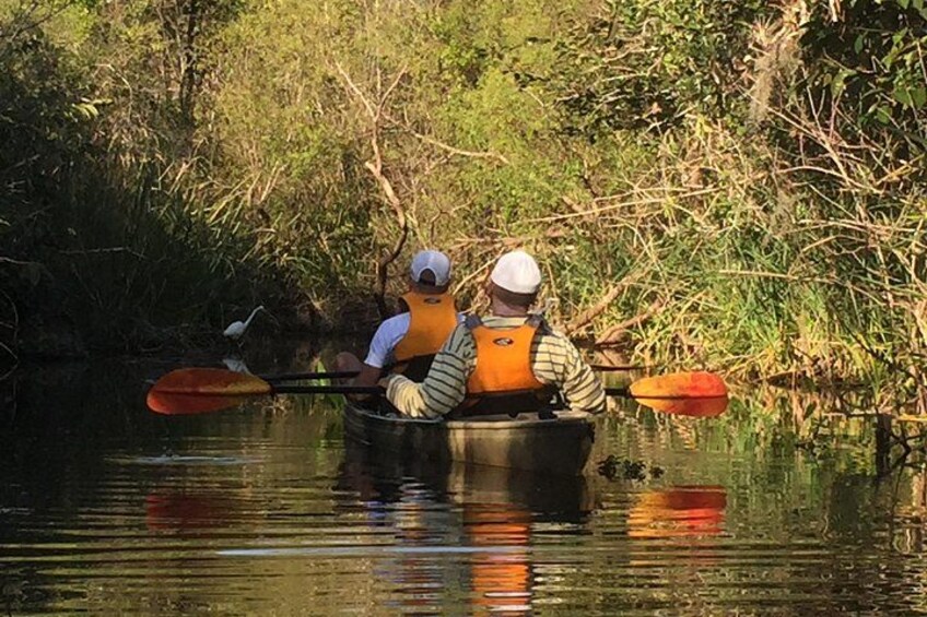 Deux personnes pratiquent le kayak sur une rivière paisible, entourée d’une végétation luxuriante. 4