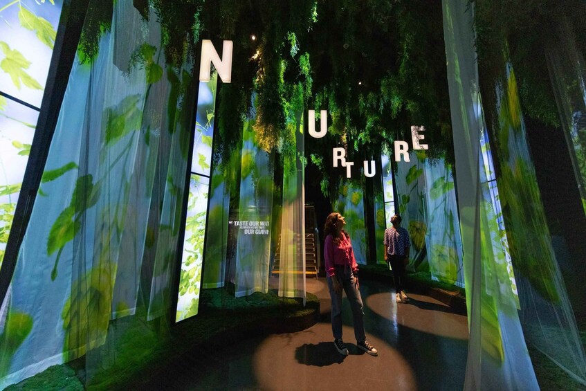 Una persona in un ambiente simile a un bosco, con delle grandi lettere che formano la parola 'NATURE' su un muro. 2