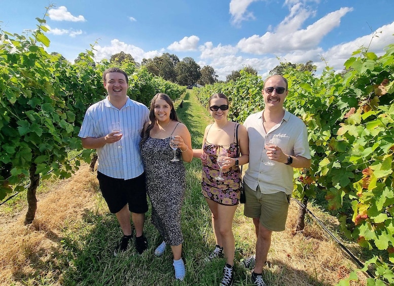 Quatre personnes se tiennent debout dans un vignoble, au milieu de rangées de vignes. 1