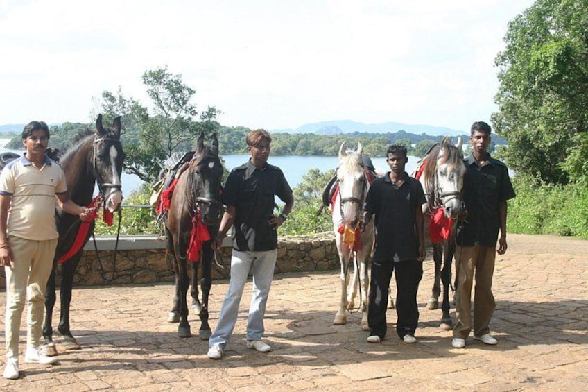 4-Hour Horse Riding in Nuwara Eliya 2