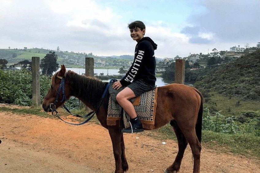 4-Hour Horse Riding in Nuwara Eliya 5
