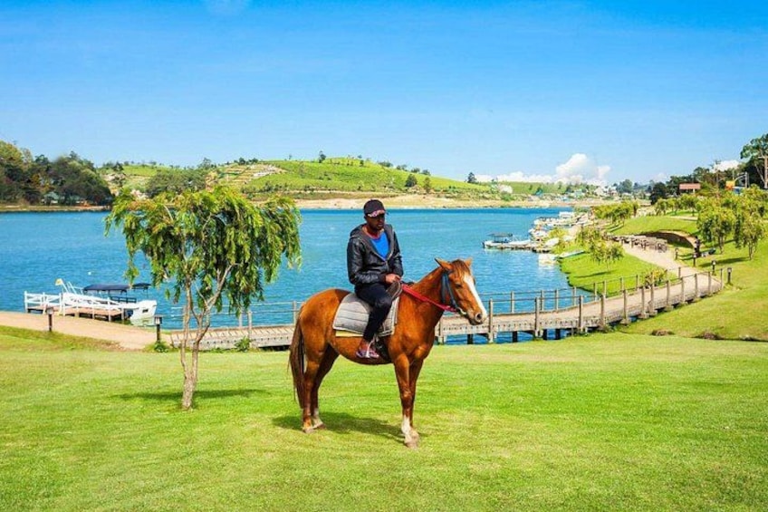 4-Hour Horse Riding in Nuwara Eliya 4
