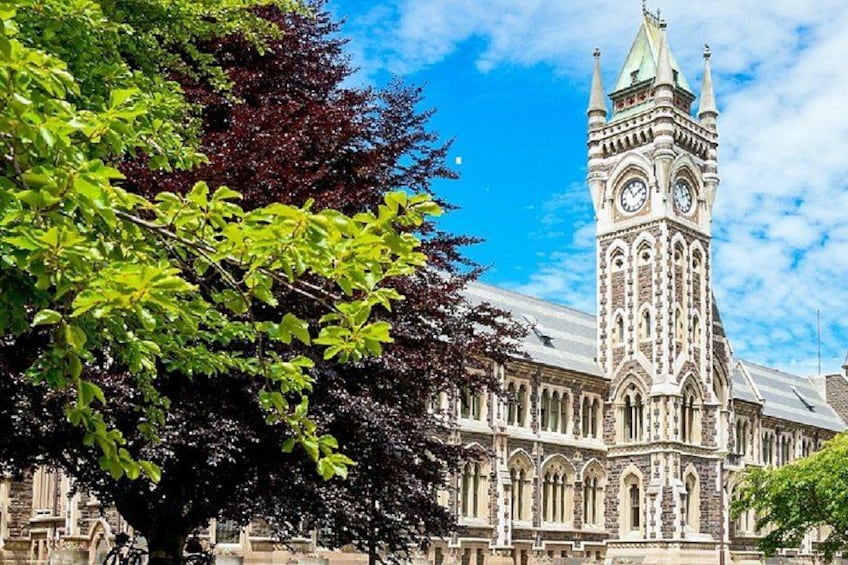 City Highlights, Larnach Castle Gardens Tour 4
