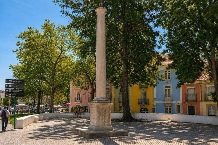 South of Lisbon: Local Market & Canned Sardines Museum Tour 5