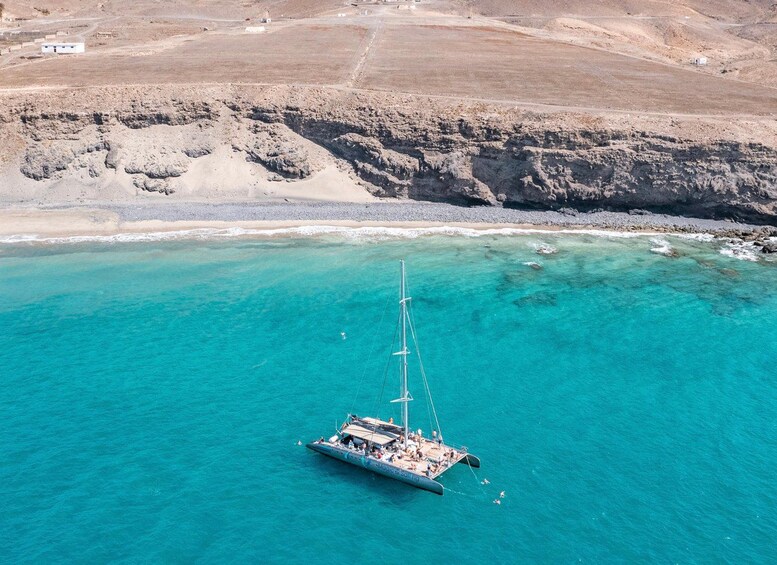Picture 8 for Activity Fuerteventura: Magic Catamaran Trip with Food and Drinks 2