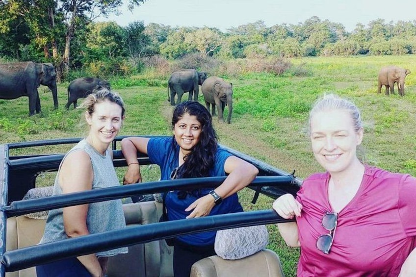 Minneriya National Park 4