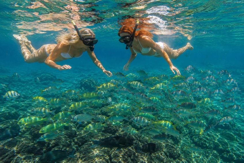Picture 11 for Activity Snorkeling in a Volcanic Bay 2