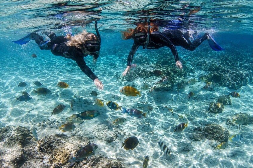 Picture 1 for Activity Snorkeling in a Volcanic Bay 3