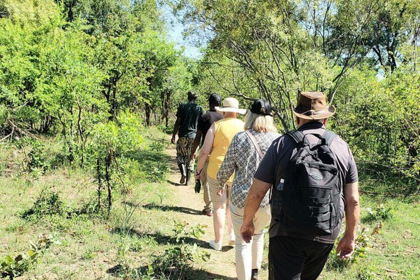 Un groupe de personnes fait une randonnée sur un sentier forestier. 5