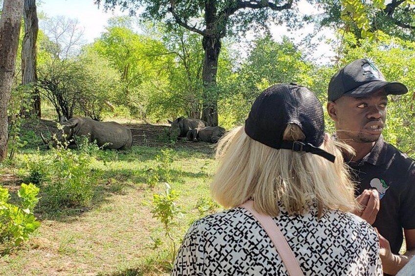 Une personne aux cheveux blonds, portant une casquette noire, se tient dans un environnement naturel, avec des arbres et un sentier. 4
