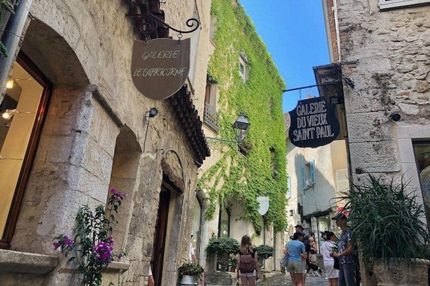 French Riviera, Wine tasting, Provencal market and Countryside 2