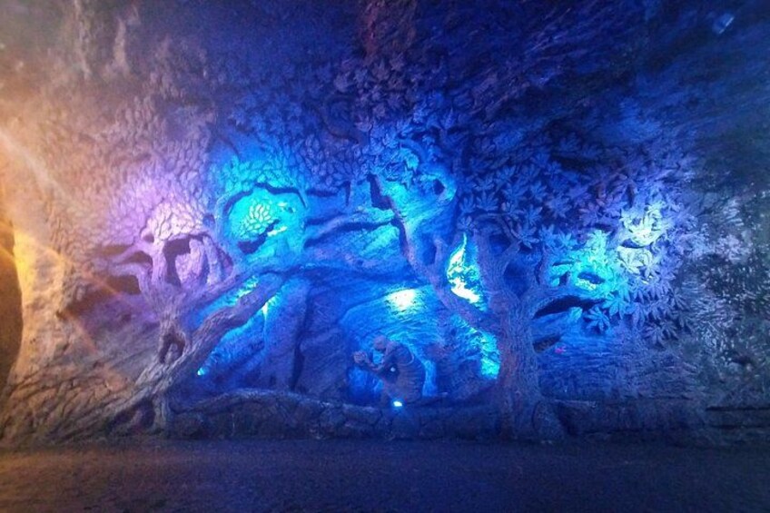 Cathedral of Sal Zipaquirá from Bogota Shared 4