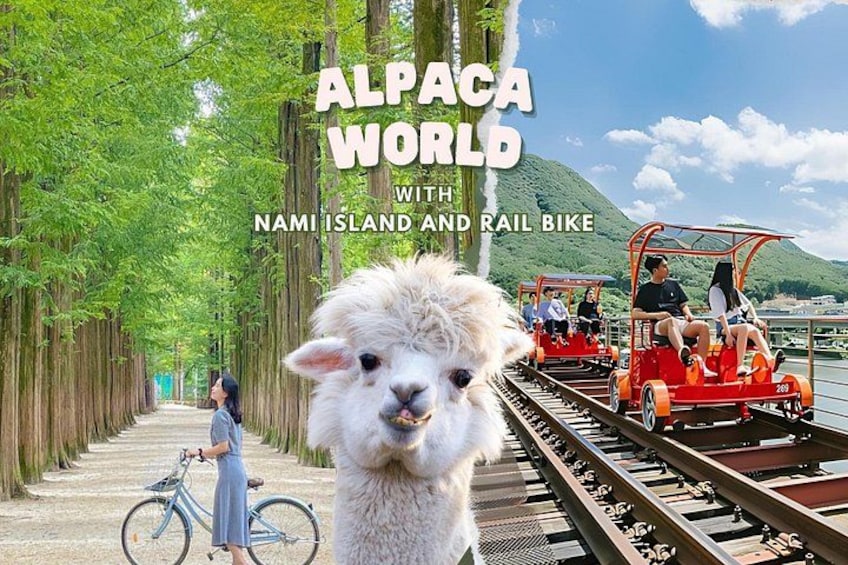 Nami Island, Alpaca World and Gangchon Rail Bike Tour from Seoul 2