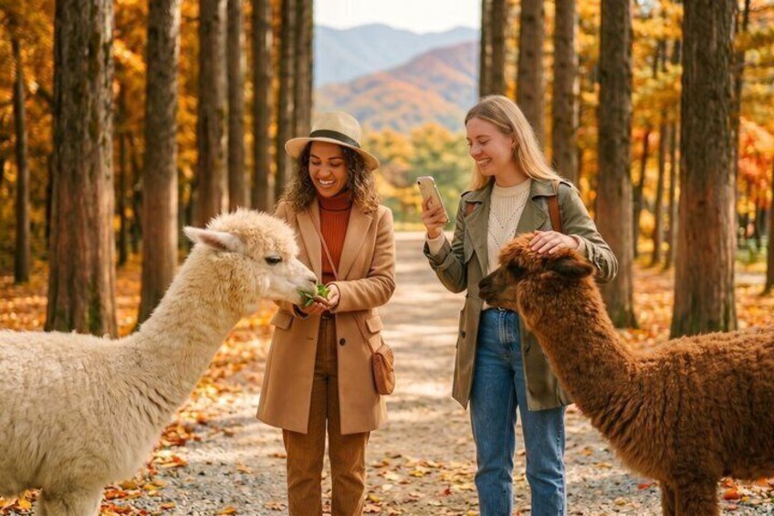 Nami Island, Alpaca World and Gangchon Rail Bike Tour from Seoul 1
