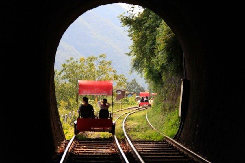 Nami Island, Alpaca World and Gangchon Rail Bike Tour from Seoul 2