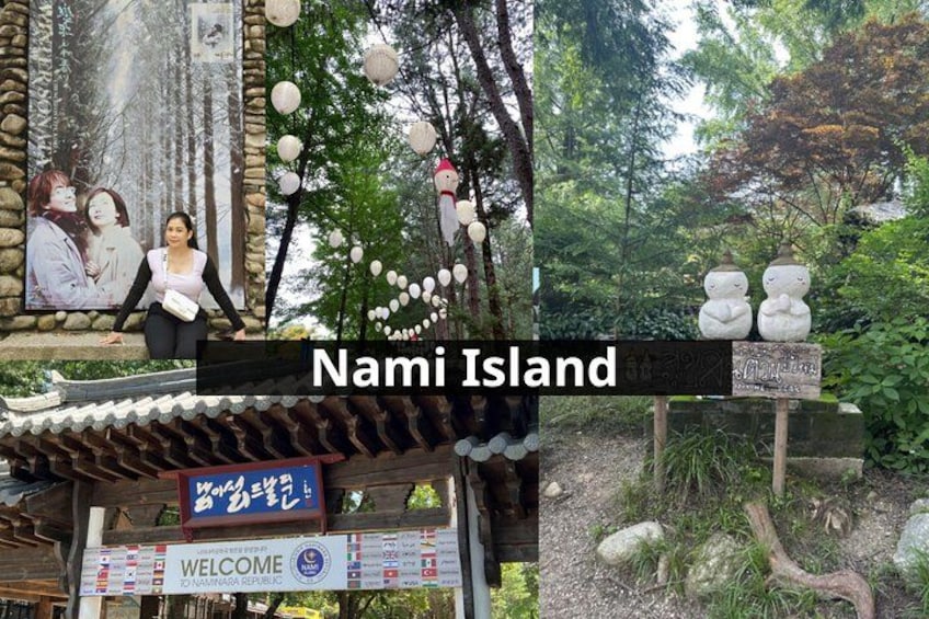 Nami Island, Alpaca World and Gangchon Rail Bike Tour from Seoul 3