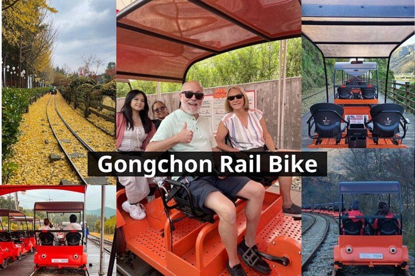 Nami Island, Alpaca World and Gangchon Rail Bike Tour from Seoul 5