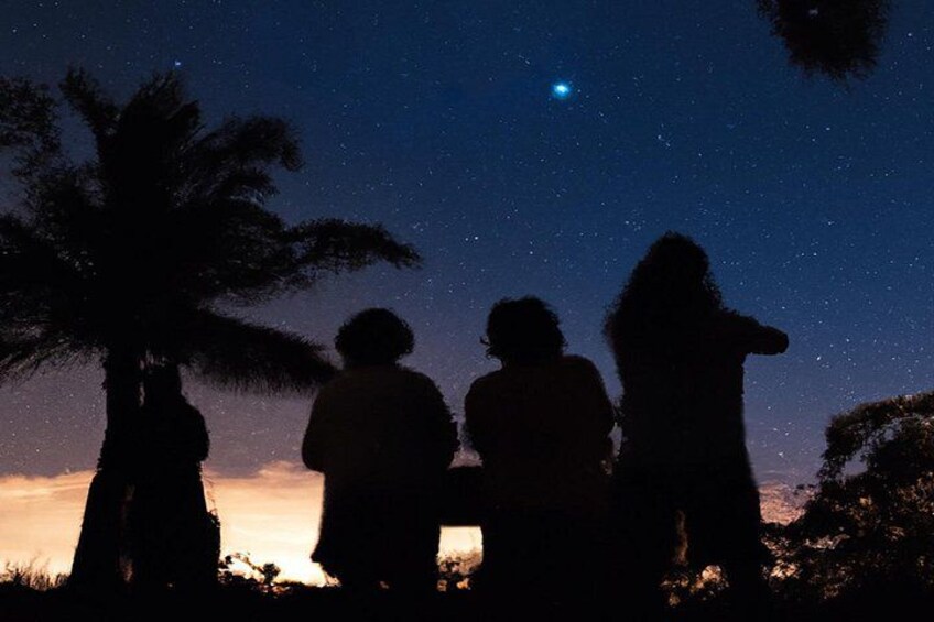 Three silhouettes of people standing under palm trees at night, looking at the sky. 3