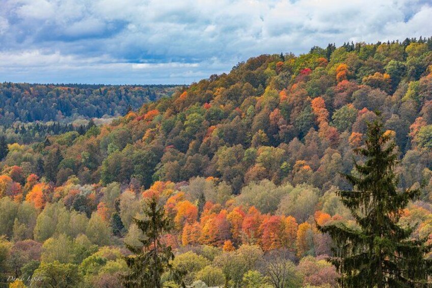Sigulda - Latvia's Switzerland and Gauja National Park Tour 4