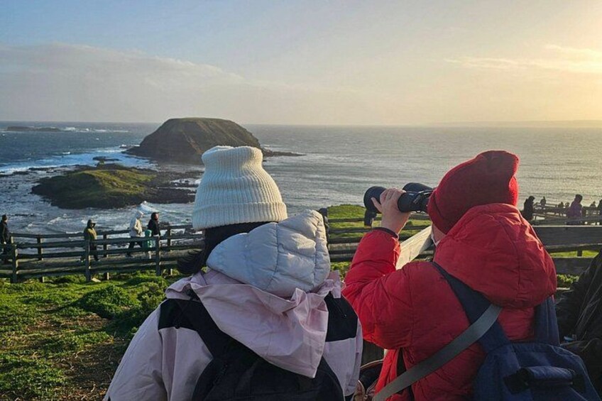 People taking photographs of the ocean and a rocky island. 5