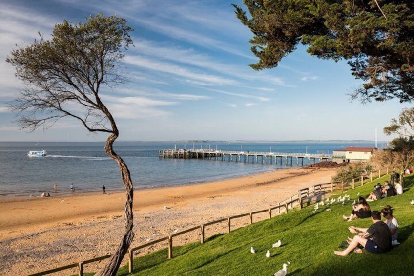 Una spiaggia con una recinzione di legno, un albero inclinato e un molo che si protende nell'acqua. 3