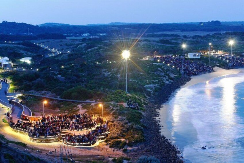 Una zona costiera con un gruppo di persone, una strada curva e una spiaggia. 2