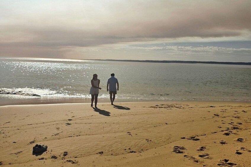 Phillip Island Small-Group Penguins & Wine Tour from Melbourne 3