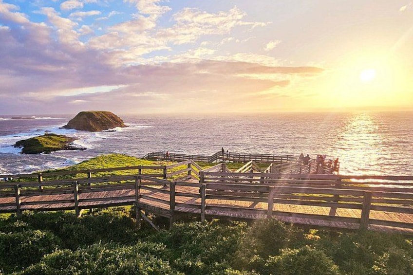 Phillip Island Small-Group Penguins & Wine Tour from Melbourne 3