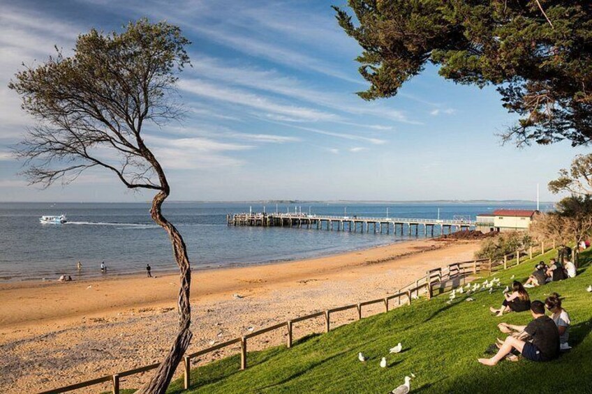 Ein Strand mit einer Holzlattenverkleidung, einem geneigten Baum und einem Steg, der sich ins Wasser erstreckt. 3