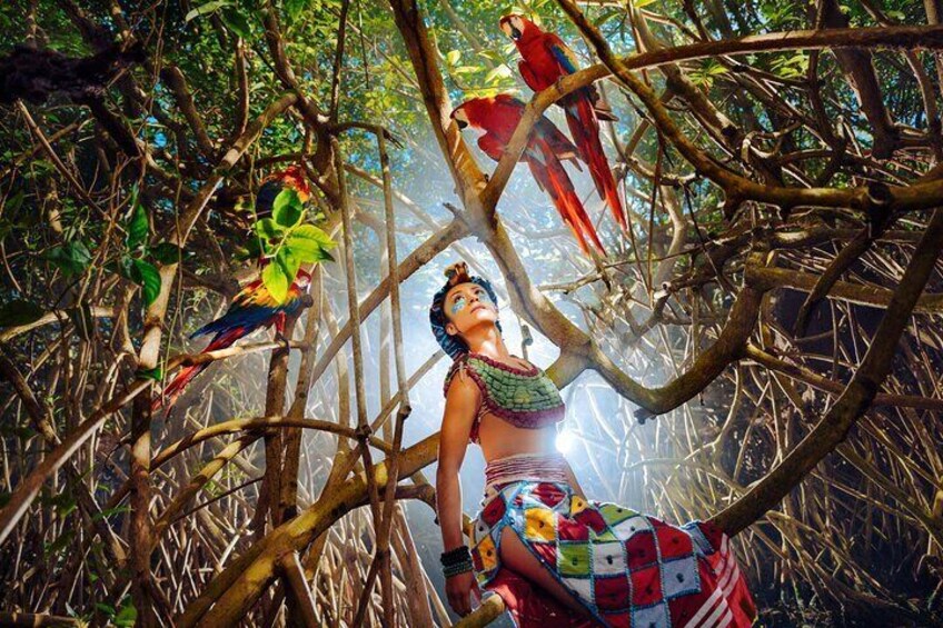 Xcaret Park Plus Access with Transportation and Night Show 1