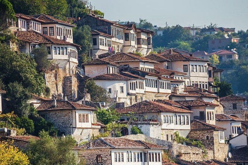A hillside village with terraced houses. 4