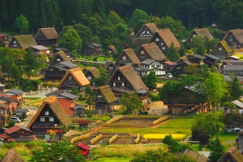 Shirakawago & Takayama DrivingTour: English Speaking Driver Kanazawa to Takayama