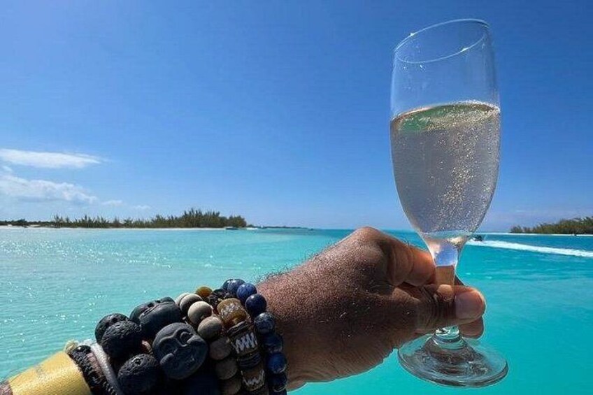 A hand holding a glass of clear liquid, palm tree, turquoise water, and a clear sky. 2