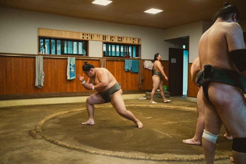 Picture 4 for Activity Tokyo Sumo Morning Practice Tour Real Stable Viewing & Guide 3