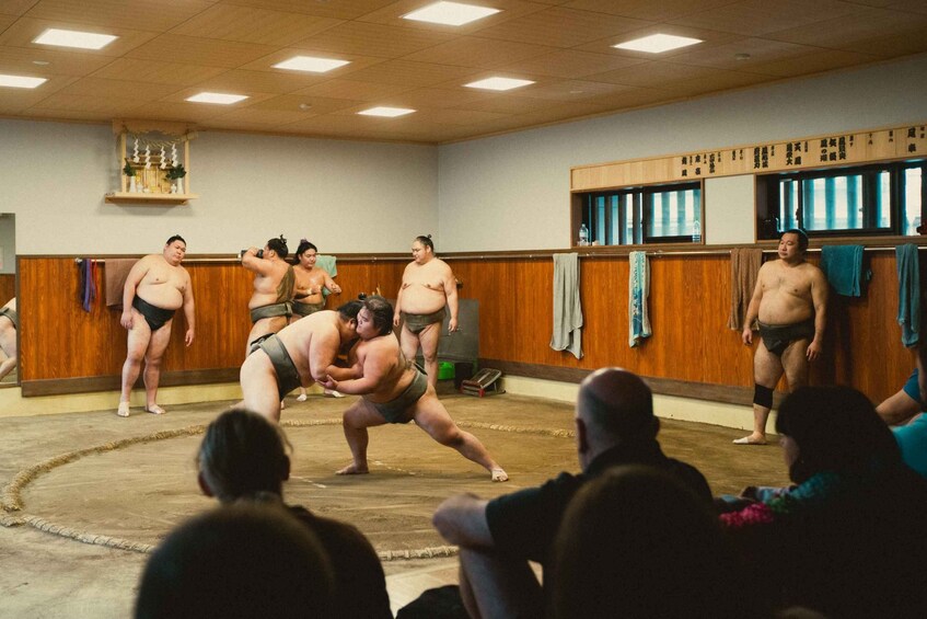 Tokyo Sumo Morning Practice Tour Real Stable Viewing & Guide 1