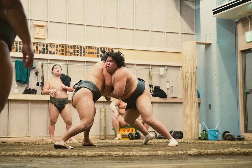 Picture 6 for Activity Tokyo Sumo Morning Practice Tour Real Stable Viewing & Guide 5