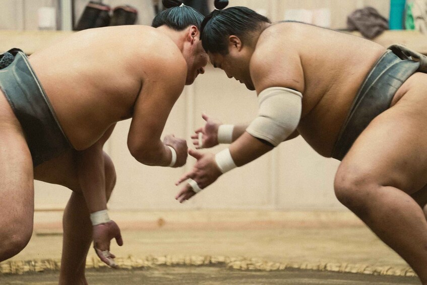 Picture 10 for Activity Tokyo Sumo Morning Practice Tour Real Stable Viewing & Guide 5