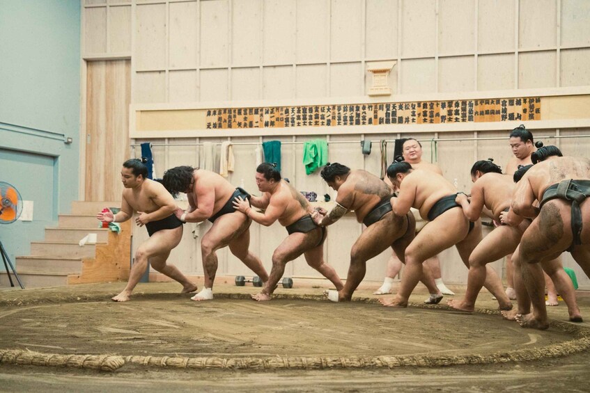 Picture 9 for Activity Tokyo Sumo Morning Practice Tour Real Stable Viewing & Guide 2