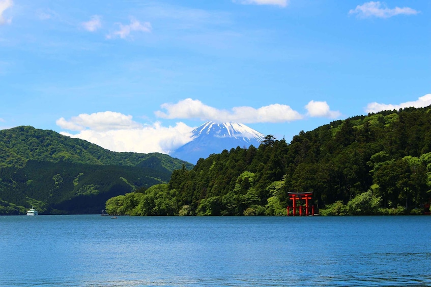 Picture 30 for Activity From Tokyo: Mt. Fuji & Hakone Tour w/ Return by Bullet Train 2
