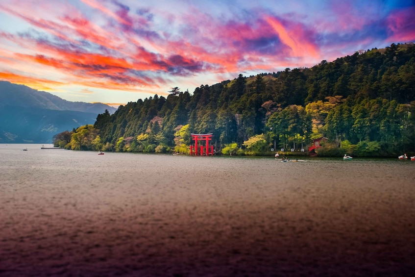 Picture 9 for Activity From Tokyo: Mt. Fuji & Hakone Tour w/ Return by Bullet Train 5