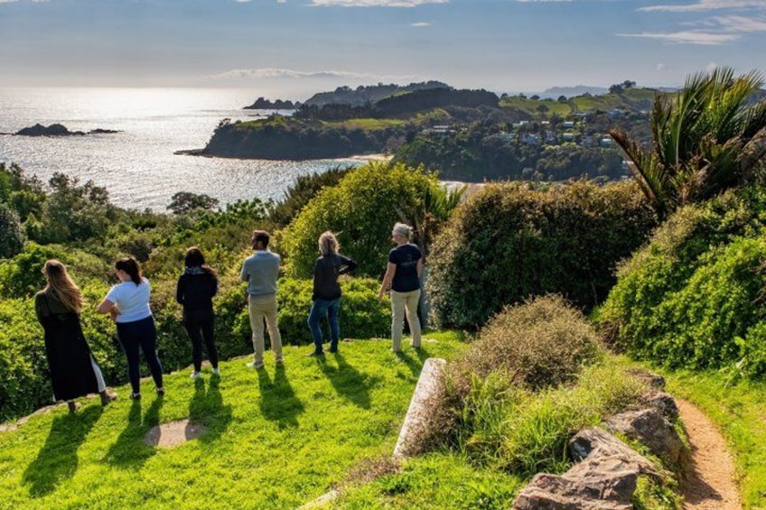 Private Personalised Tour in Waiheke Island 3