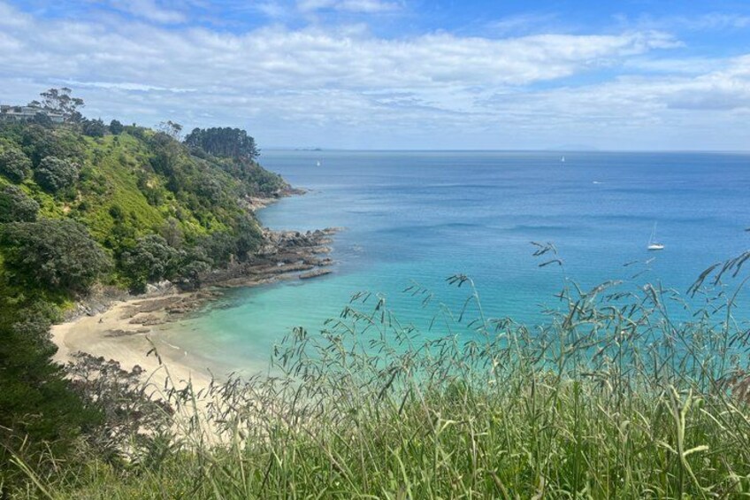 Private Personalised Tour in Waiheke Island 3