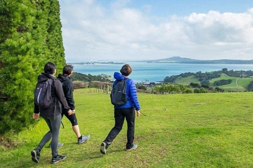 Explore Waiheke Island on a Personal Tour with Terra & Tide 2