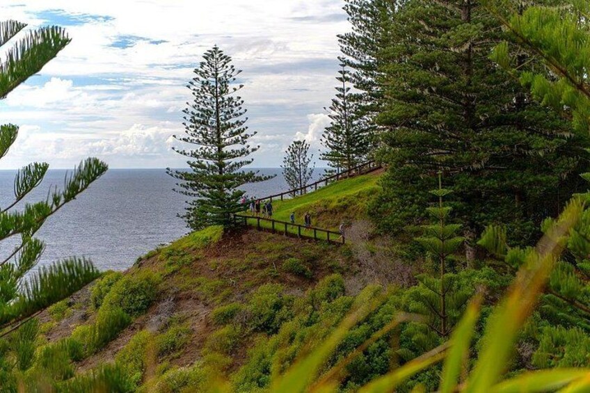 A coastal landscape with a wooden walkway, dense greenery, and a clear view of the sea. 5