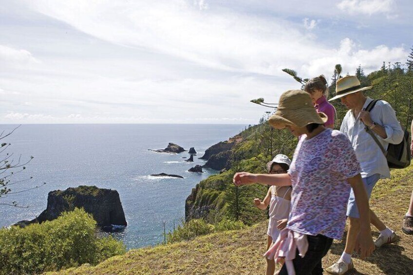 Breakfast Bushwalk in Norfolk Island