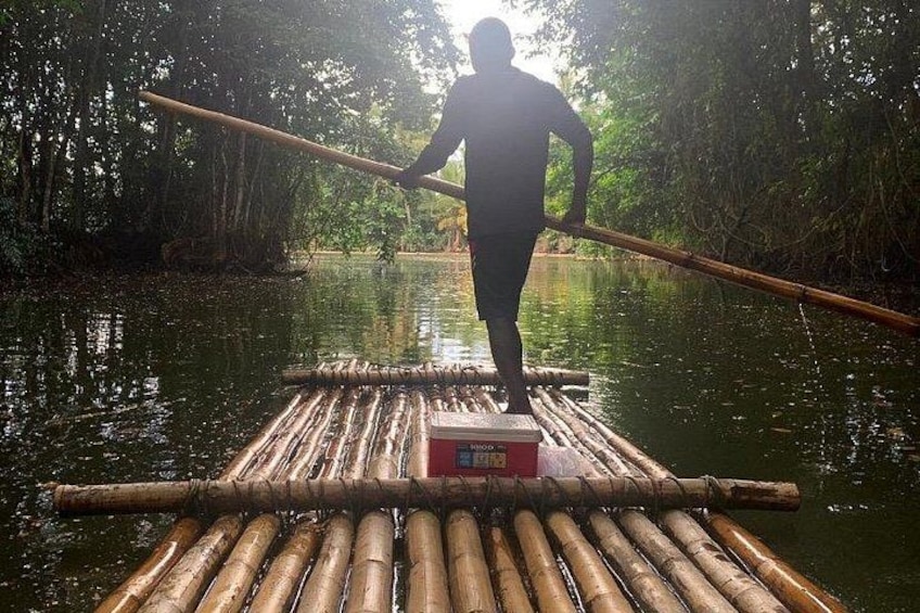 Mangroves 3