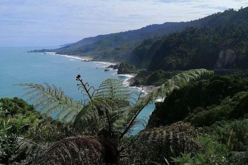 Un paisaje costero con playa, océano y abundante vegetación. 1