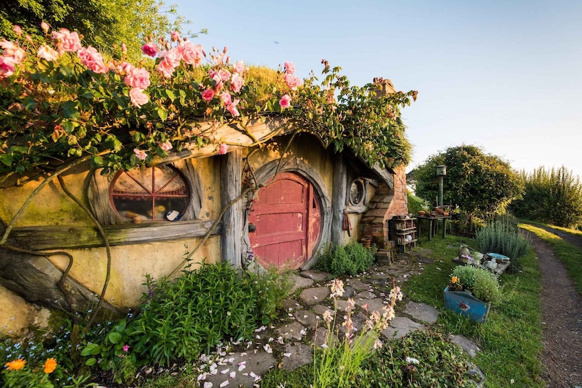 Picture 23 for Activity Auckland: Hobbiton Movie Set Small Group Tour 2
