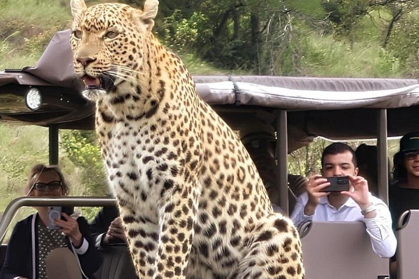 Full Day Pilanesberg Safari Adventure 2